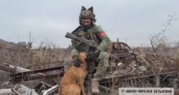 Марьяна Наумова: ЖИВОТНЫХ МЫ ЛЮБИМ, ОНИ К НАМ ТЯНУТСЯ: