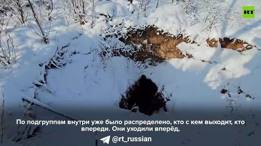 ��� ������� ������ ���������� � ����� ������� ��������, � ������ ������� ������������ ��� ����� ���