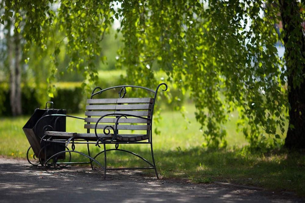 ��������� ��������: ���������� ������������ ������������ �������� �������� ���������� � ��� ������ � ���� ����������