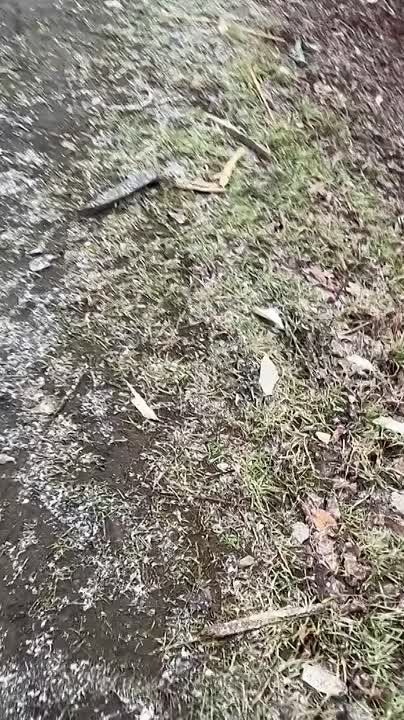 ������ �������: ������������ � ������ �.�