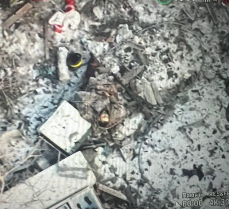 ������ �������: �������� ���� � ������� ��������� ������ �� ����-�������� �����������