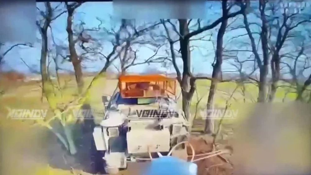 �������� ������������ ������������� ������� �� 40 ����������� ������� ������� ������ ����������� "������" �� ����-�������� �����������