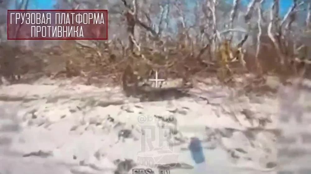 ������� ����� ����������� "�����" ���������� ������� ���������� ���������� �� ���������� �����������