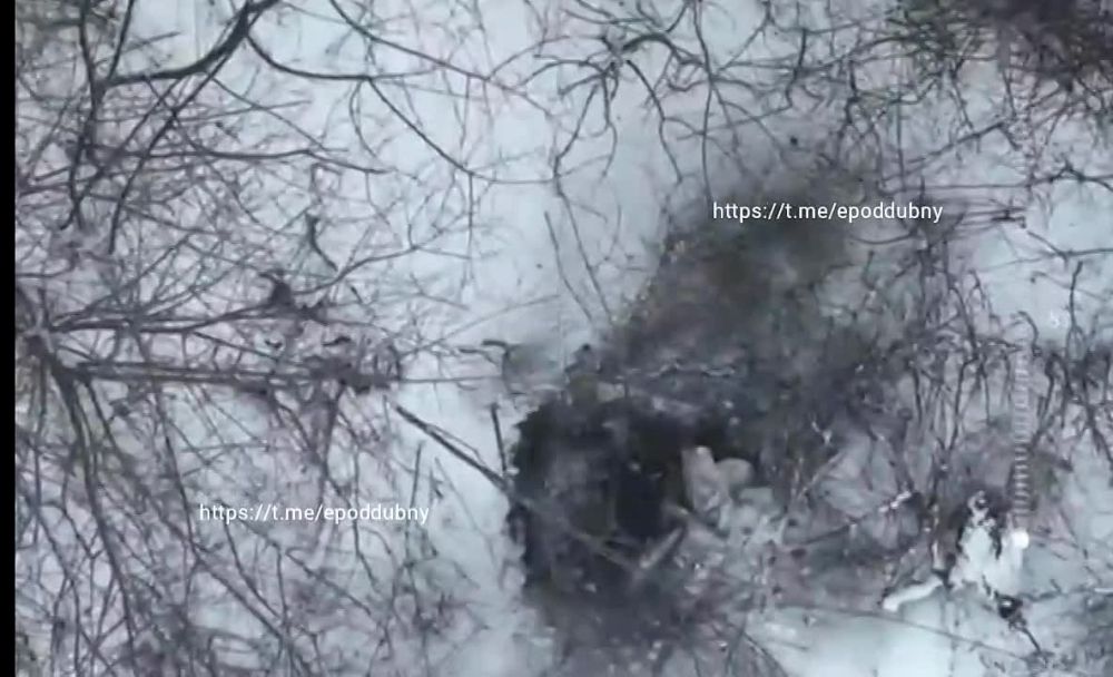 ������� ���������: � ���������� ����� ������� "���������" �� ��������� �����������