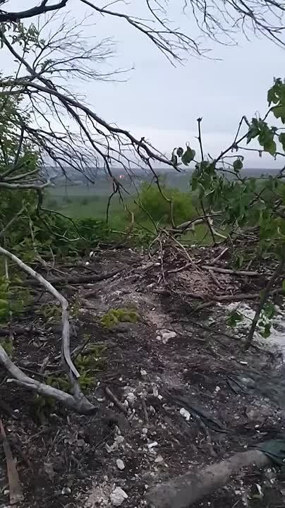 ������ �������: ���� 2024 ����. ������� "�����" ��������� ������� �������� ���������� ������������ � ������ �.�. ���������