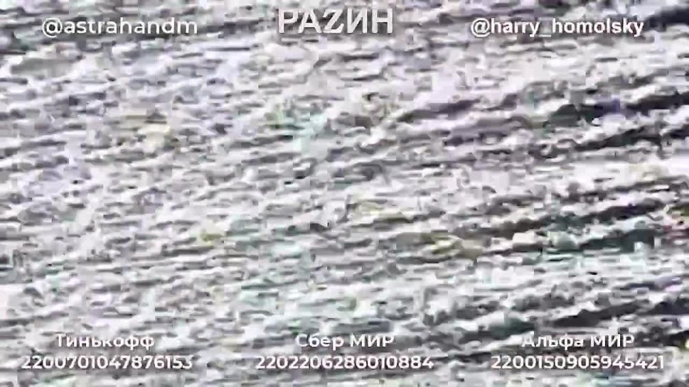 ����� ����������: ������, ��� ������� ������� ��������� � ��������� ������ �� ���������� ������������ ������������� ��������, ����������� ������ ������ �� �������� �����������