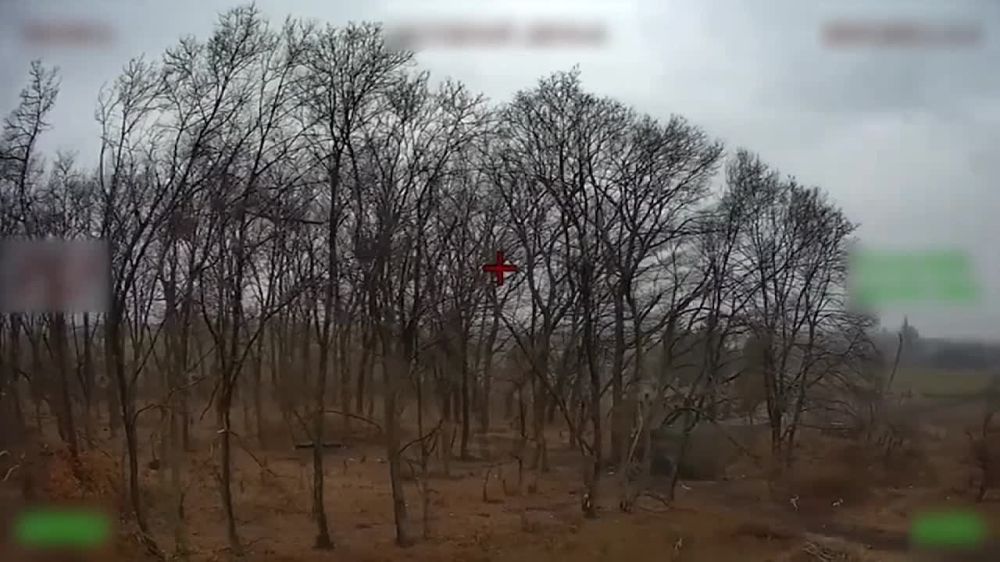 ��� ���������� �������� ������ ����