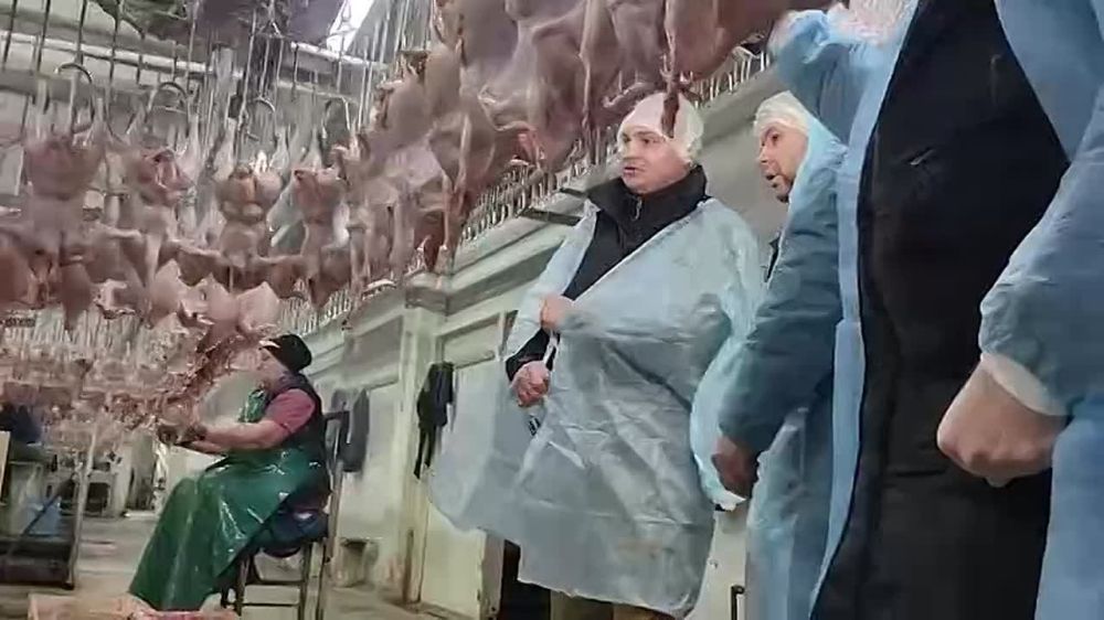 ����� ����������: ��������� � ������ ��� ������� �������������� ��������� ������� ��������� ������������