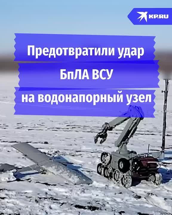 � �������� ������������� ����� ����������� ���� �� ������������ ����