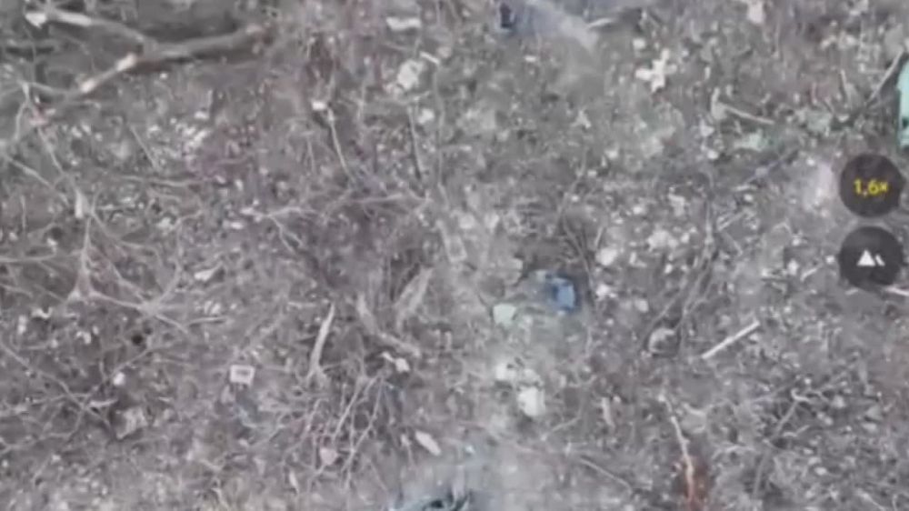 ������ �������: ����������� ������ ������ ��� ���