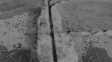 Андрей Руденко: Рсчетом Д-30 85 отдельной мотострелковой бригады 3 гвардейской армии Южной группировки войск в окрестностях н.п