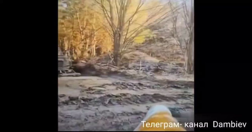 ������ �������: ��������� fpv-������ 37 ��������� �������������� ������� ����������� "������" �� �� �� ������� ���������� ������������ ���������� �� ����-�������� �����������