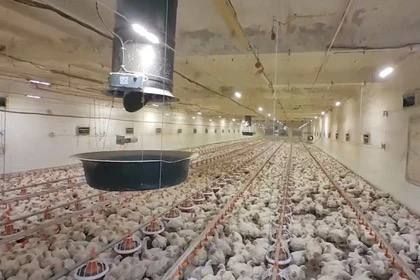 ����������� ������������ ��� ���������� �������� �������� ������������ � ���