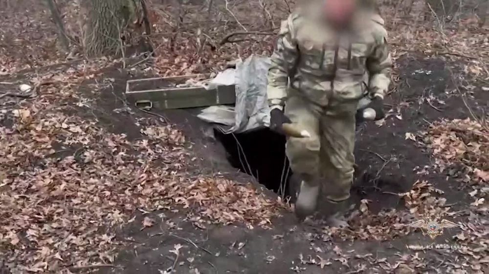 Ирина Волк: В Донецкой Народной Республике мои коллеги из временного отдела полиции «Великоновоселковский» выявили крупные тайники с боеприпасами