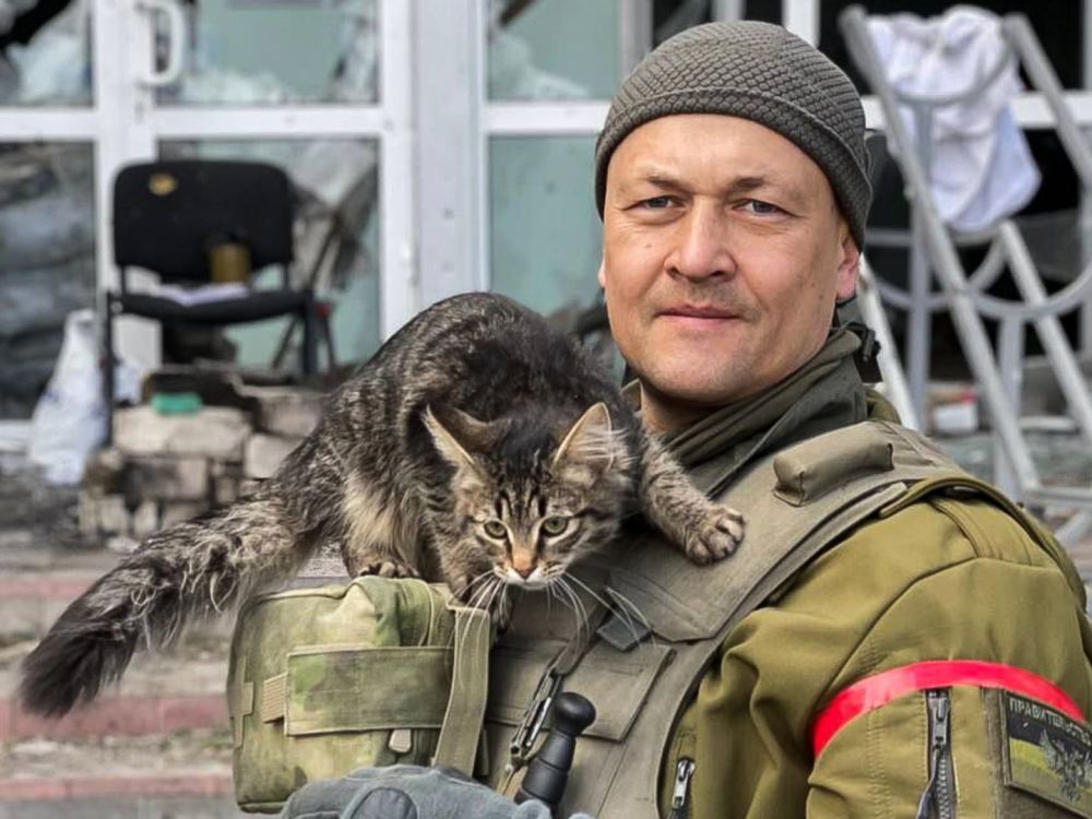 ����������� ������� �����������: ����� ���������, ��� ������� ���������� ���� ����������� �� ������