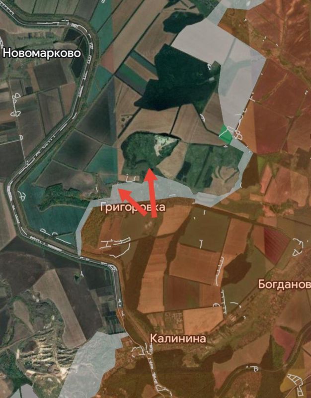 ���� �������: ������������ �����������