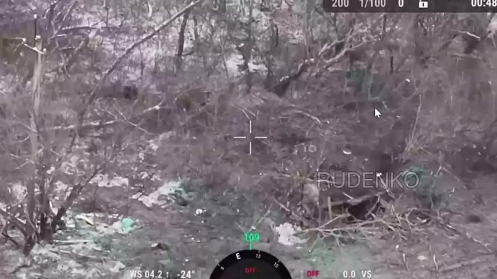 ������ �������: �������� ���� 242 ��� 20 ��.��� 8� ����� ����������� ����� � ������������ �.�