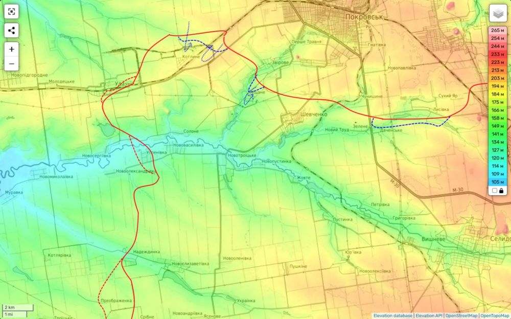 ���� ��������: ���������� ����������� �� 20.02.25: ����� 17 ���� �������