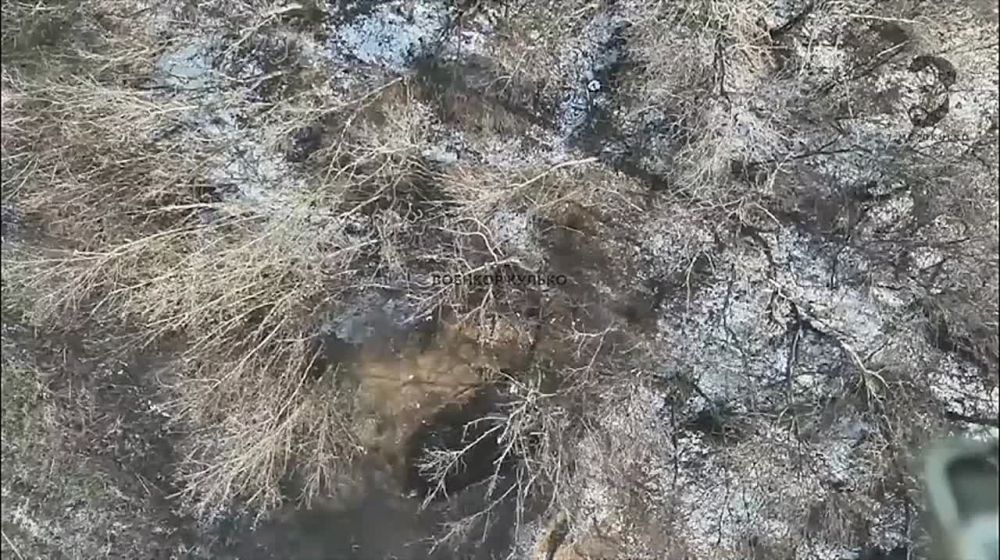 ������� ������: ����� ������� ���������