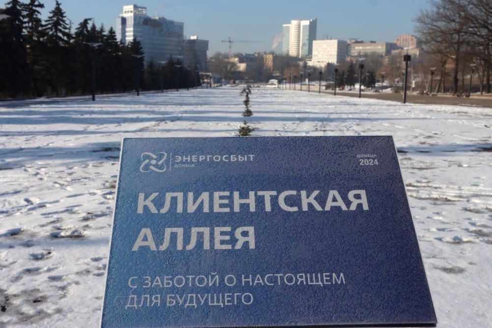 Город становится зеленее с каждым днем: в Донецке приступили к высадке елей в парке Ленинского комсомола