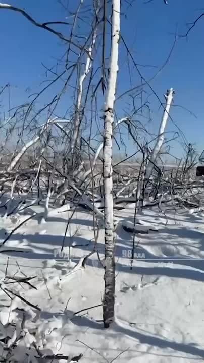 ��������� ����� ��-��� ������ ���, ������ � ����� �� ����������� ������ ������������