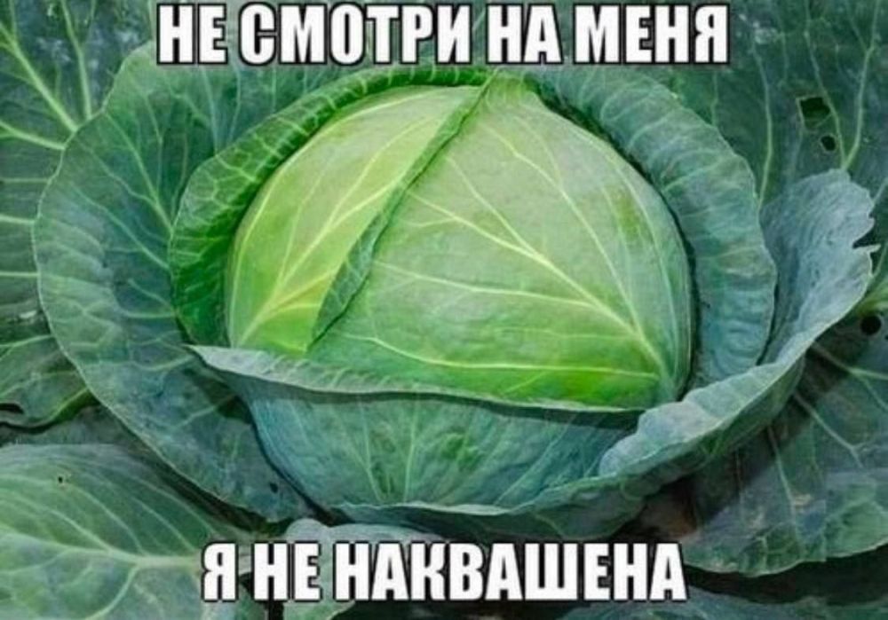 ������� �����.