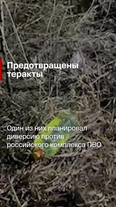 ������� ������� �� ����: