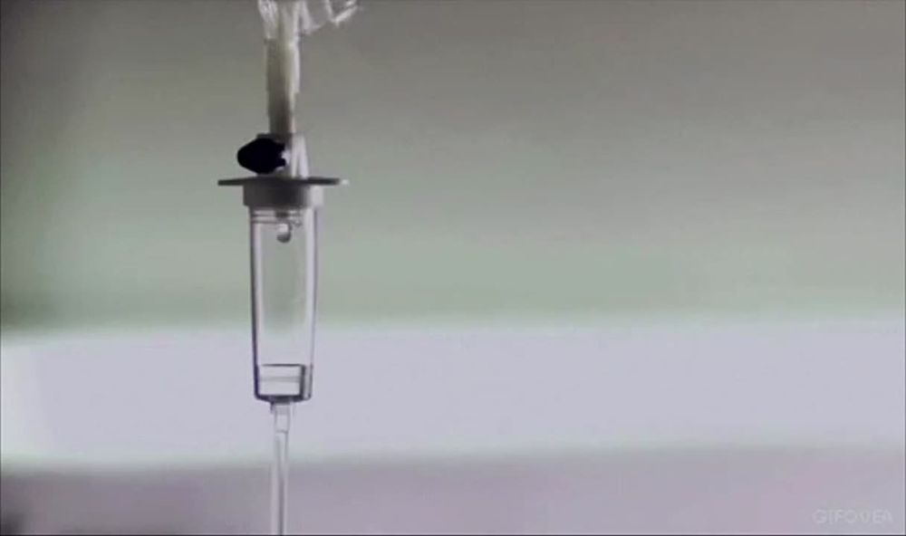 ������������ ��������� �������;