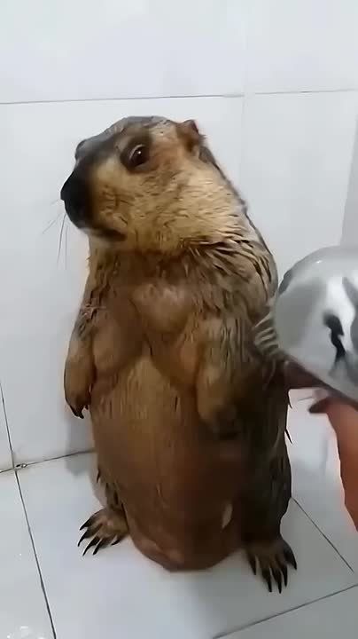� ������ �����, ���������!