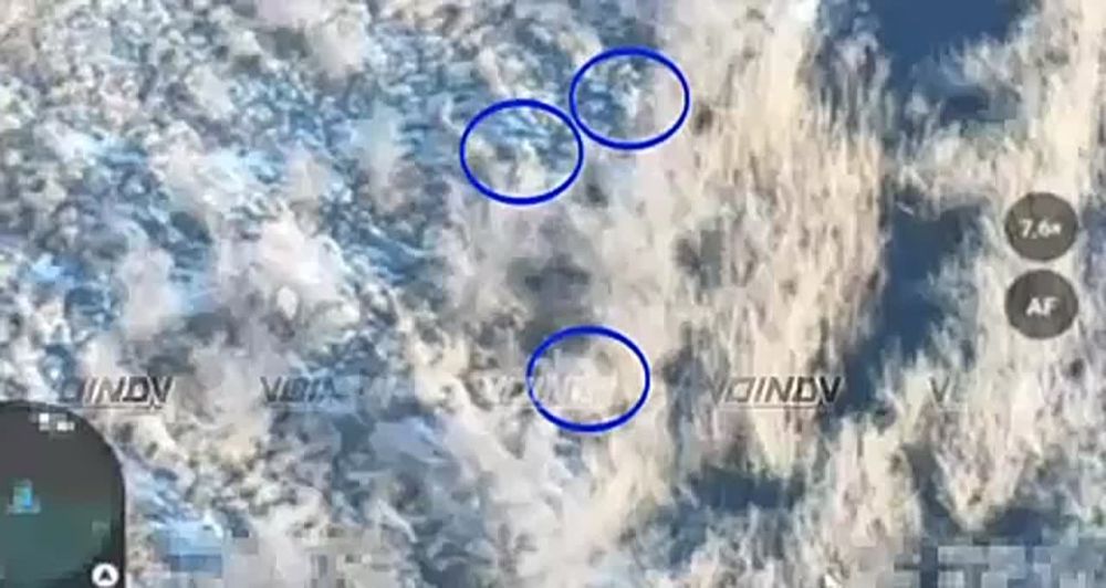 ������� �������: ��������� ���� 29-� ����� ������ ������� ������� ����� �� ����� ���� ���������� � ������ ���� ����� ��� �� ����-�������� �����������