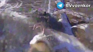 «тважные» массово уничтожают пехоту и НАТОвскую технику, наступая на Покровск