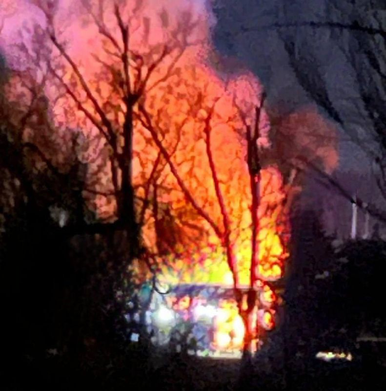 ���� ����: �� �� ������� ������������� ��������������� ���� �� �������� � 8 �������� �������: