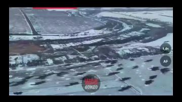 WarGonzo: Братья, с Днём защитника Отечества! Один огонь
