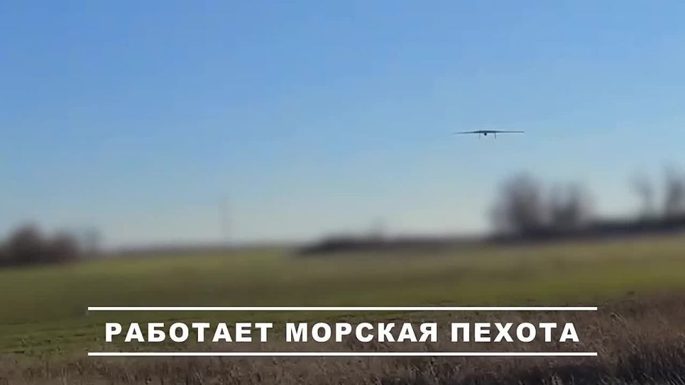 ���� �������: ����-�������� ����������� - ������ ���������� 40-� ������� ������� ������ �� ������������� ������� ���