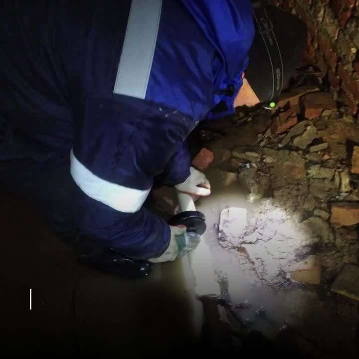 ��������� �������: ������ �������� ��������������� � ������� �����������