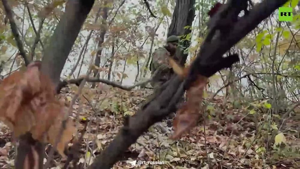 ��� ���� � ������ � �����, �������� ������ �������