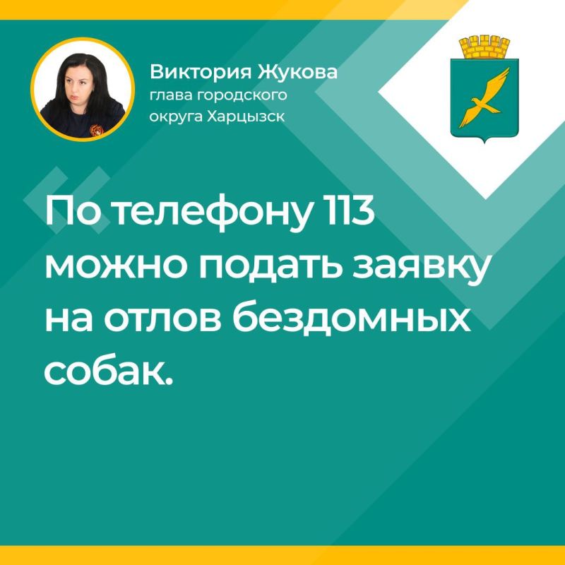 �������� ������: �� ������ ��������� �������� ���������� ��������� ������ �� ������ 113