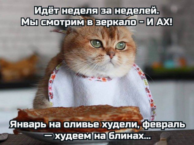 ������� �����.