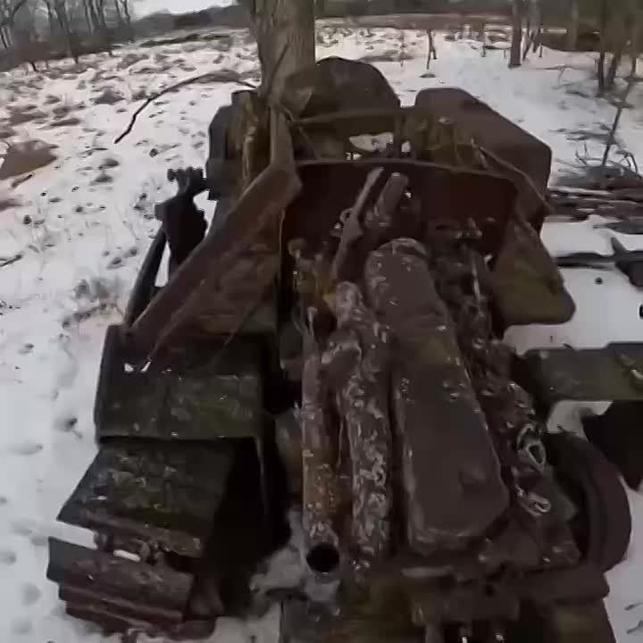 ���������������/���������� �����������