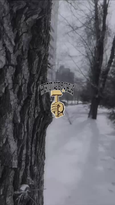 ������ ���� � ����������� ��������