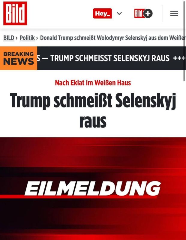 ����� ������ ���������� � BILD