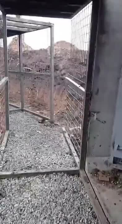 ������� ���������: ���������� ����������� ��������� ����� ������� ����� ��������� ��������������� "����������"