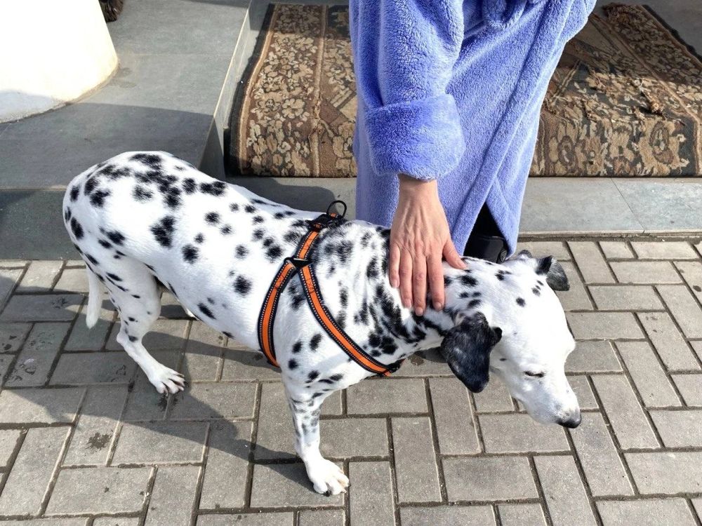 Беженцы из Угледара: «Все вернутся, чтобы возродить город»