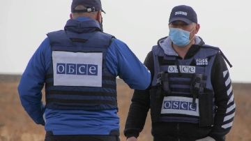 Экс-посол Греции Борновас: Наблюдатели ОБСЕ передавали ВСУ секретные сведения