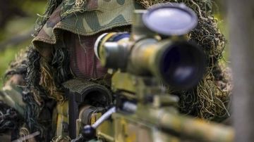 Рогов: ВС России освободили около 5 кв. км у границы ДНР и Запорожской области