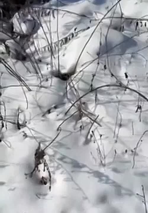 ���������� ������ � ����������� ������ ���������� � ������� �������, 4 ��������������� �������������