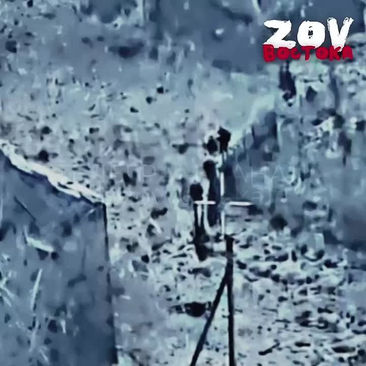 ����� ����������� ������ ��� �� �����������-�����������������