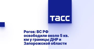 Рогов: ВС РФ освободили около 5 кв. км у границы ДНР и Запорожской области