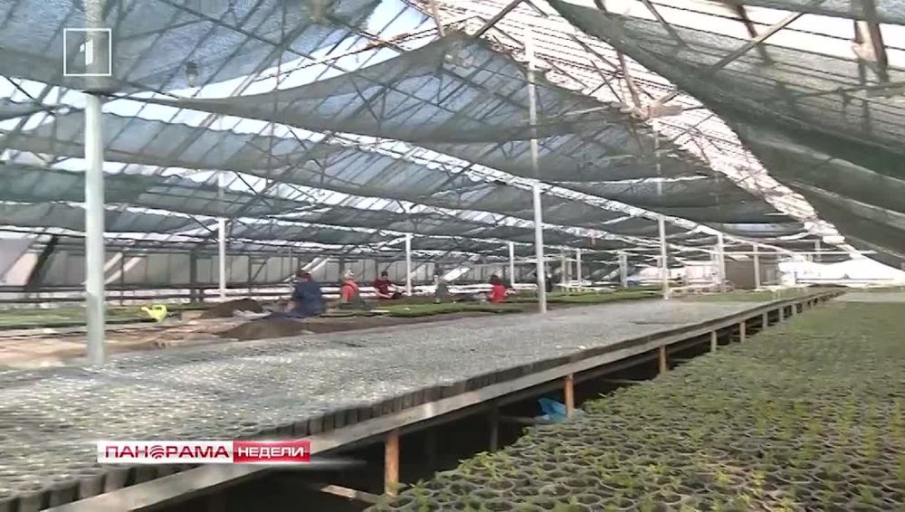 ����� �� ���������� ����������: ��� �������� �������� ���������� �����? 02.03.2024, ��������� ������ � ������� �������