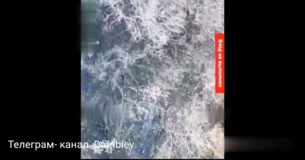 ������ �������: ��������� fpv-������ ����������� "������" �� �� �� ������� ���������� ��� ���� ���������� ��������������� M1224 International MaxxPro ������������� ������������ �� ����-�������� �����������